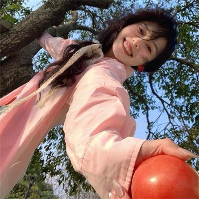 孤鸟罗宾
